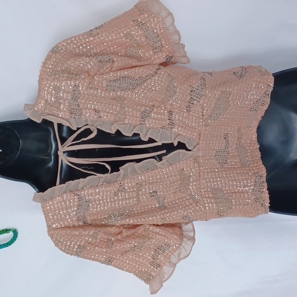 NWOT Anthropologie Forever That Girl Sequined V-Neck Blouse Neutral Pink - Picture 6 of 10